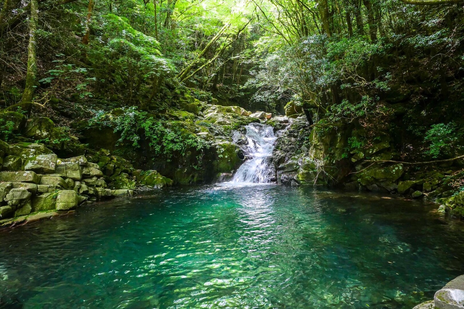 滝が美しかった尾鈴山 / tokotan2._.2さんの尾鈴山・長崎尾・矢筈岳の活動データ YAMAP / ヤマップ