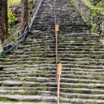 滝への石段
帰りなので登ります