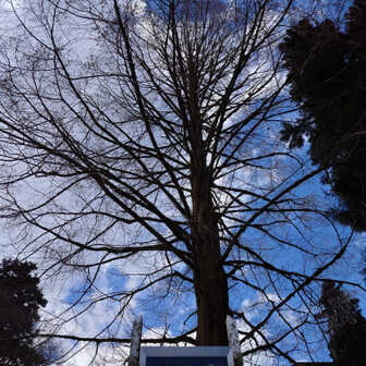 金剛山・二上山・大和葛城山 あったかーい。