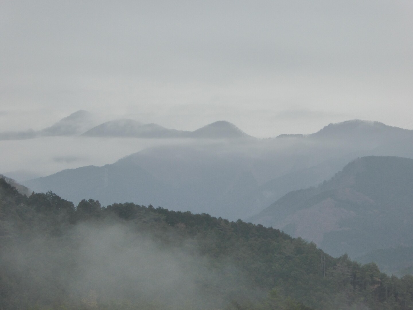 今年の年越しそばの候補を探して栃木の山の... / Goさんのモーメント YAMAP / ヤマップ