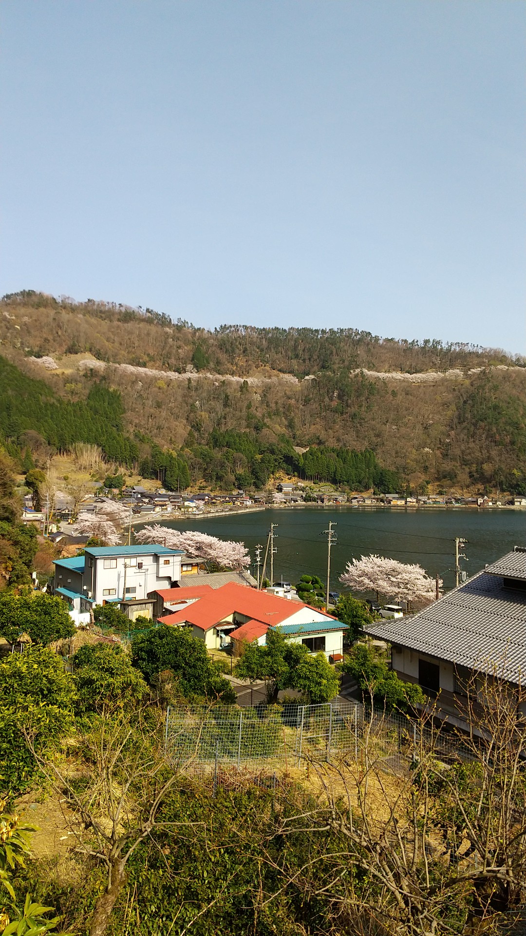 湖北の隠れ里を訪ねて 月出集落より菅浦への道 ファイヤフライさんの賤ヶ岳 山本山の活動日記 Yamap ヤマップ