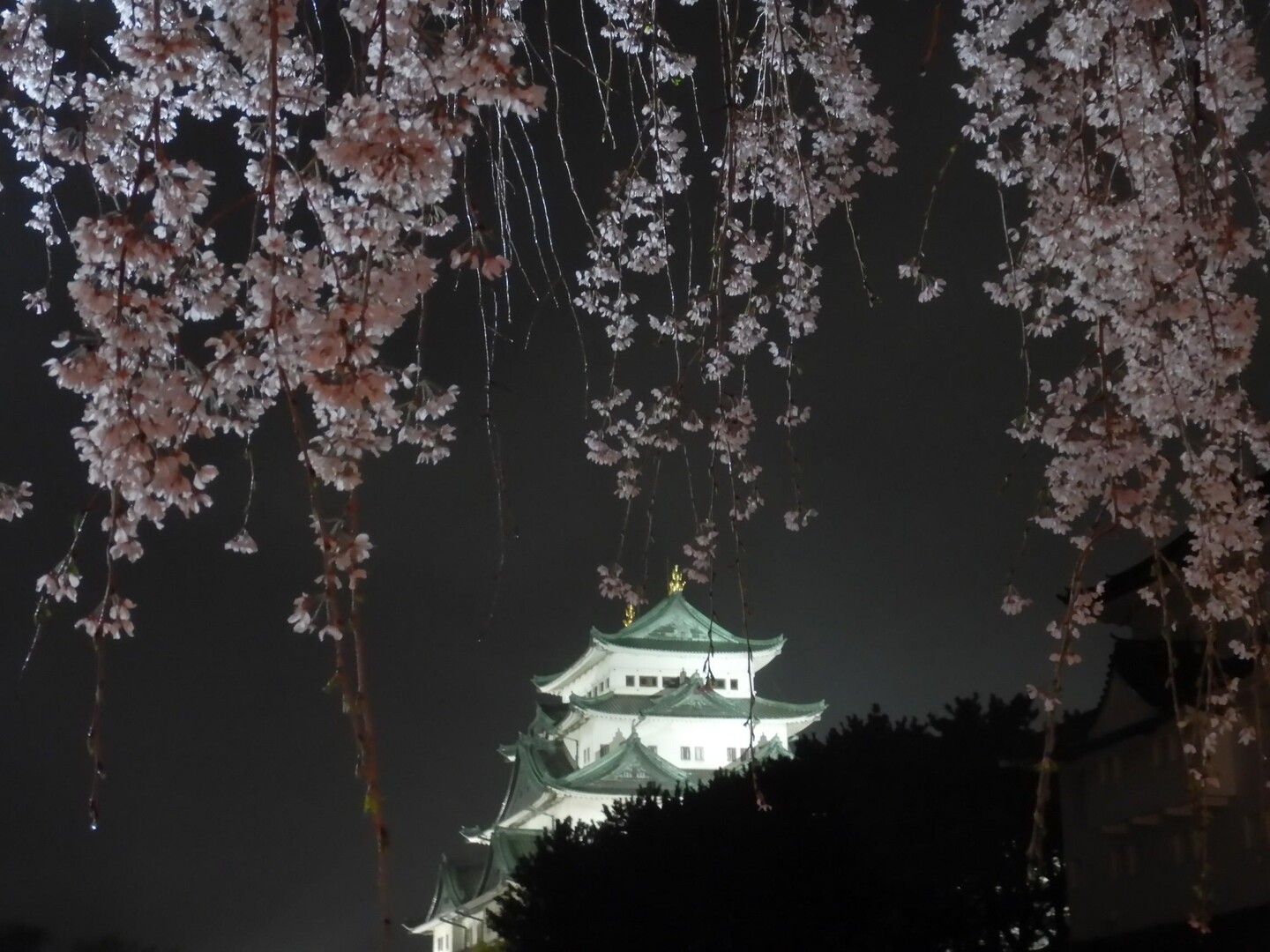 名古屋市内ウォーキング / わかぞ～さんのウォーキングの活動データ YAMAP / ヤマップ