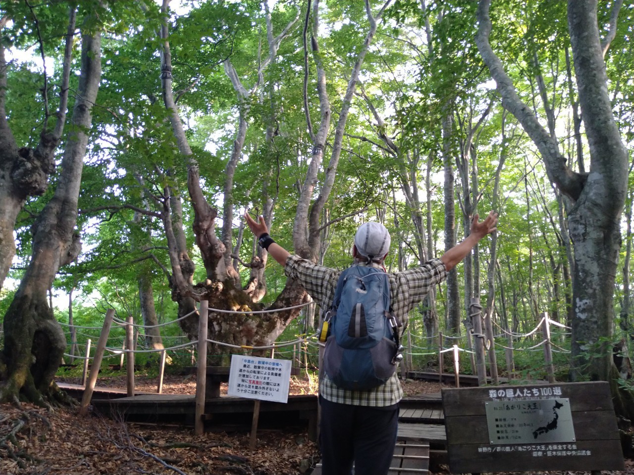 アガリコ大王と女王 鳥海マリモ ノースロードさんのにかほ市の活動データ Yamap ヤマップ