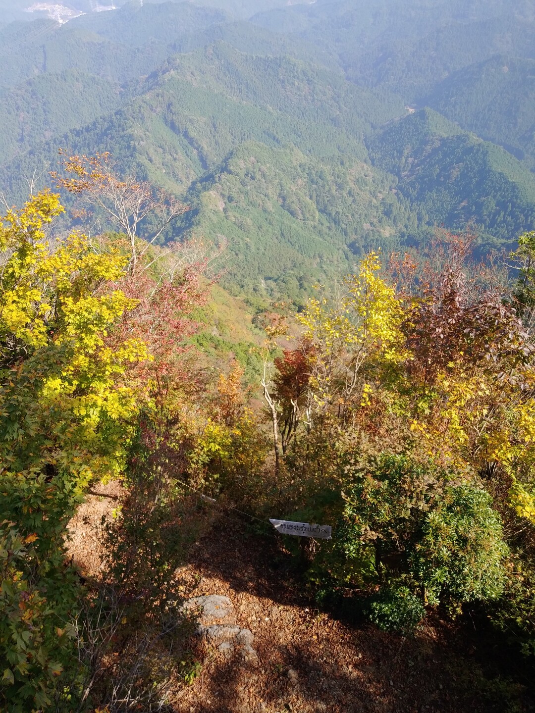 いつもの明神山 / 明神一筋さんの明神山（三ツ瀬明神山）の活動データ YAMAP / ヤマップ