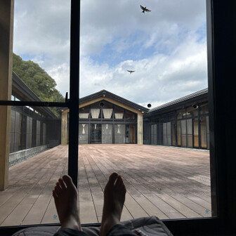 千葉山・白岩寺山 ツバメが元気！元気！