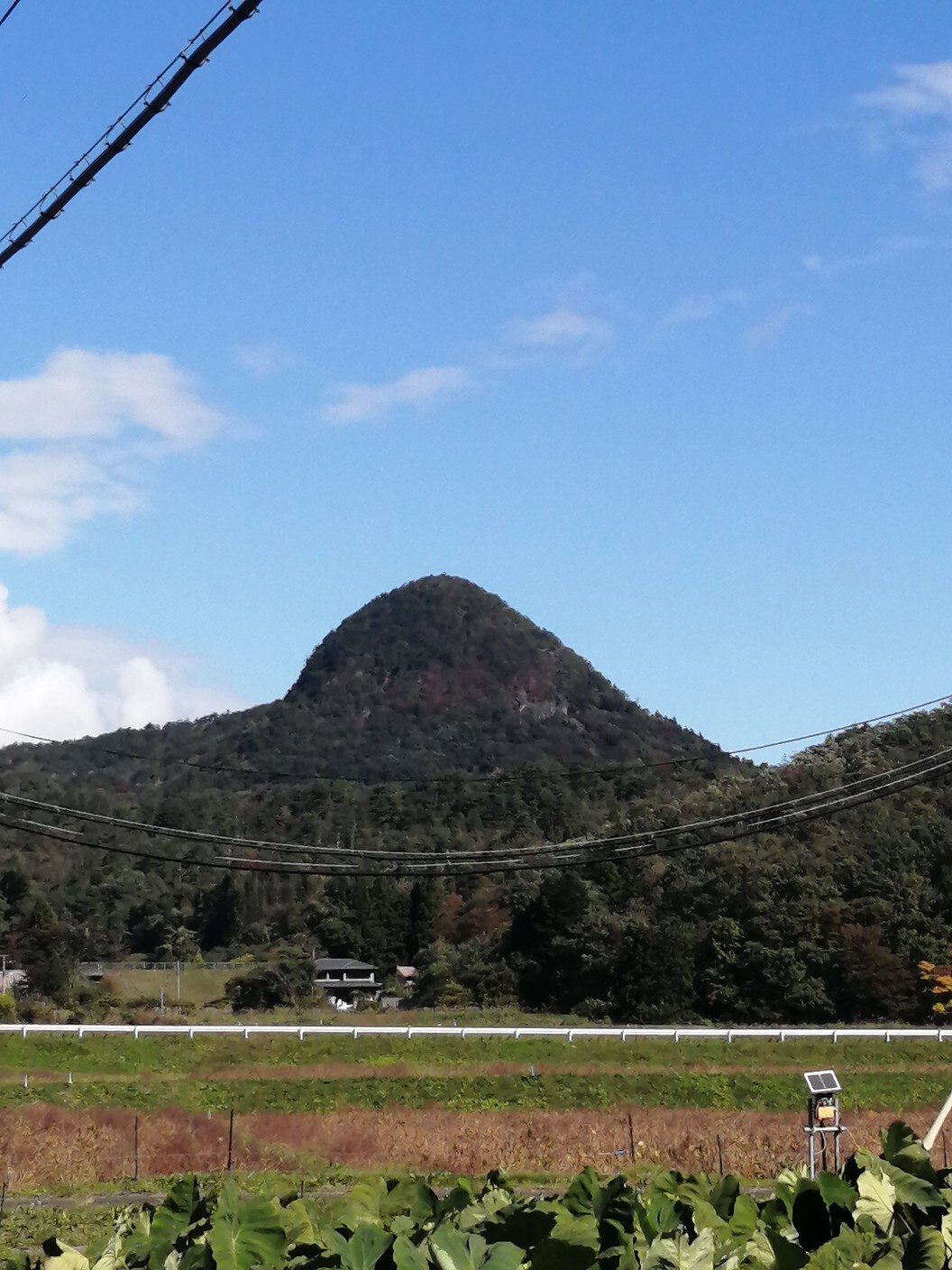 女戸神山・戸神山 / プモリとpapabuさんの戸神山の活動データ YAMAP / ヤマップ