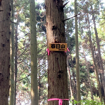春日山山頂標識回収👍