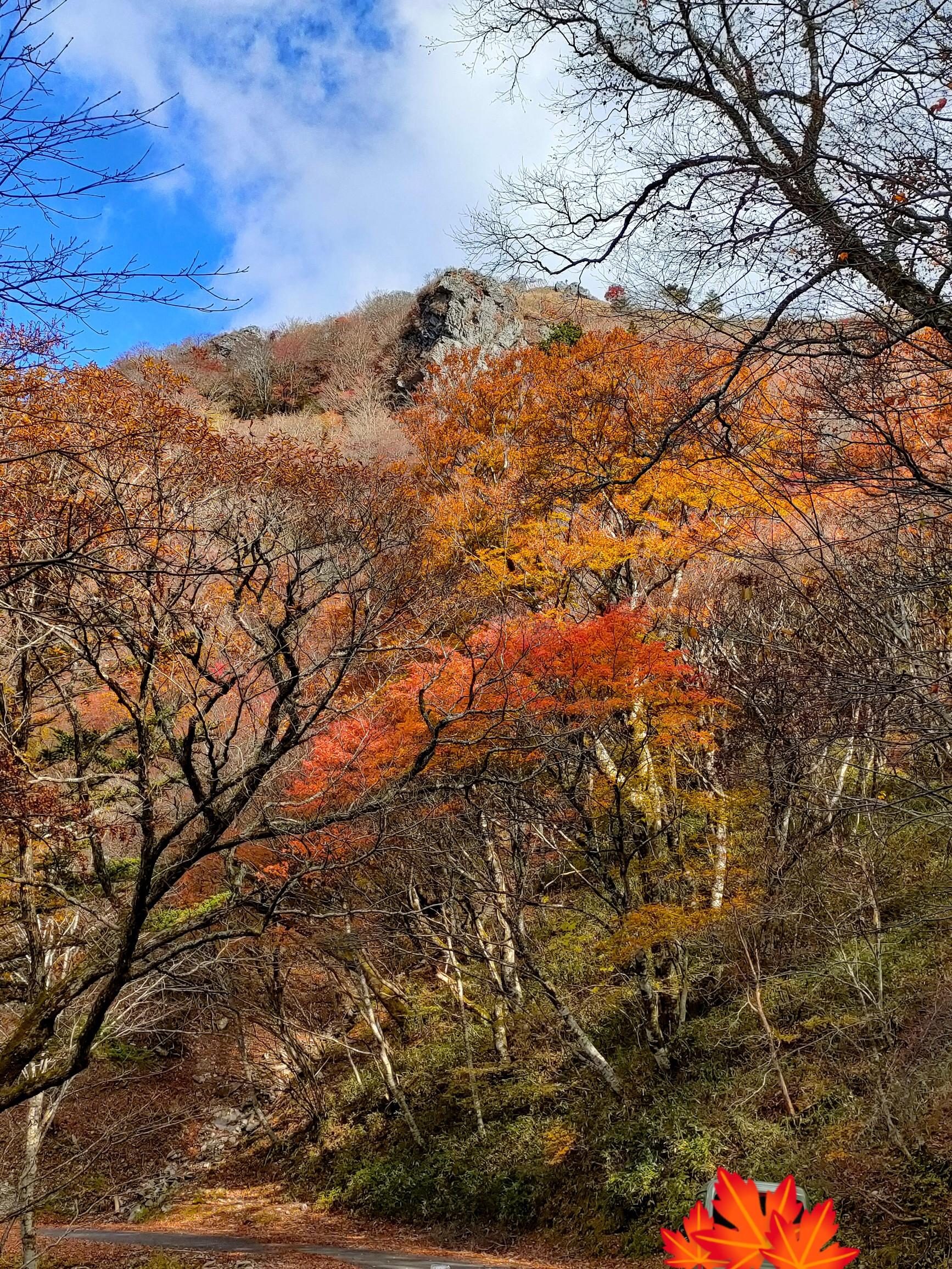 落合峠〜落禿🍁 / ゆみんさんの矢筈山・黒笠山の活動データ YAMAP / ヤマップ