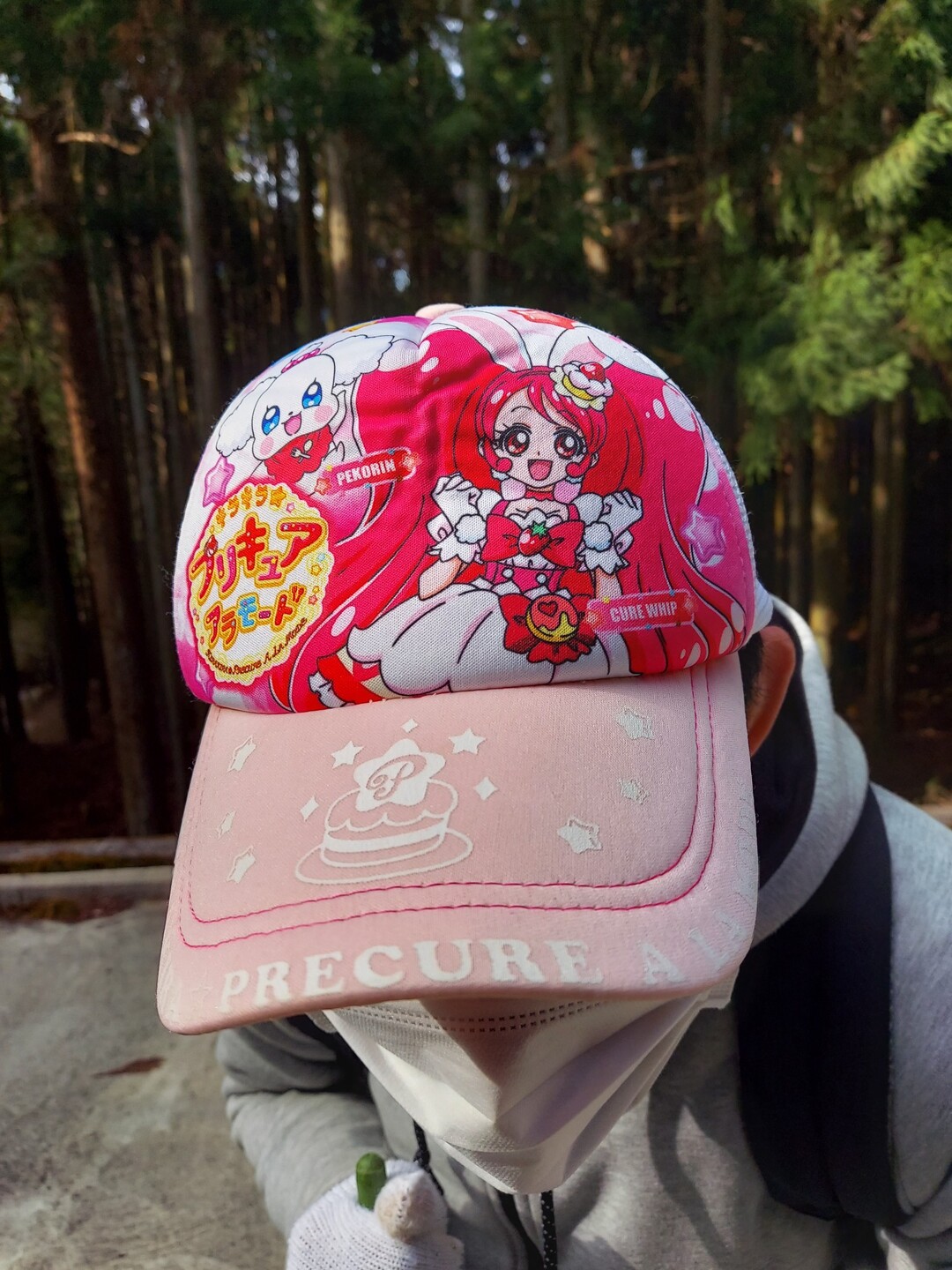 プリキュア 初コラボ 大洞の峰 経ヶ峰 獅々見塚 あおむしさんの経ヶ峰の活動データ Yamap ヤマップ
