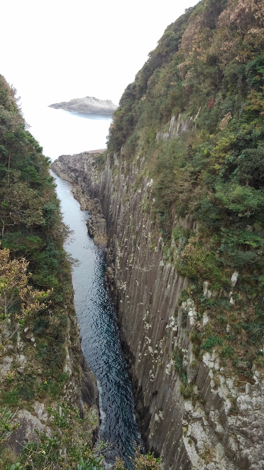 柱状節理スゲッ 黒田の家臣 馬ヶ背 クルスの海 サンポウ 米ノ山 こばみさんの米ノ山 日向市 の活動データ Yamap ヤマップ