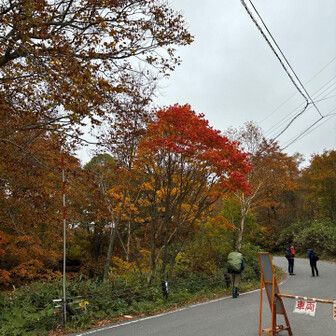 尾瀬・至仏山・悪沢岳・笠ヶ岳 鳩待峠