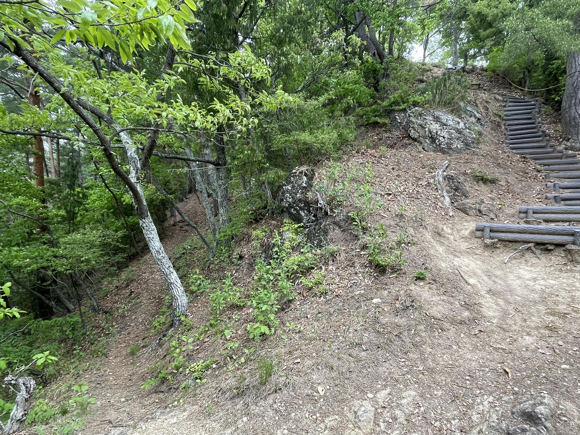 尾根の側面は急斜面