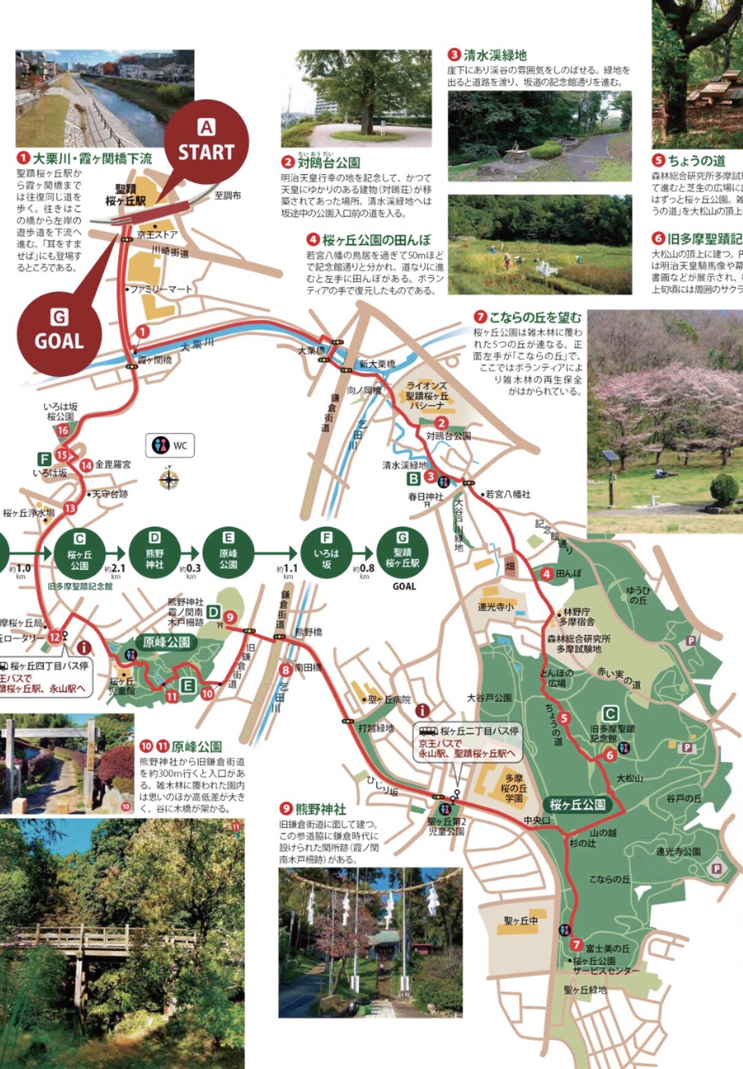 東京都多摩市 聖蹟桜ヶ丘駅周辺コース 7km 04 30 ミノルタさんの多摩市の活動日記 Yamap ヤマップ