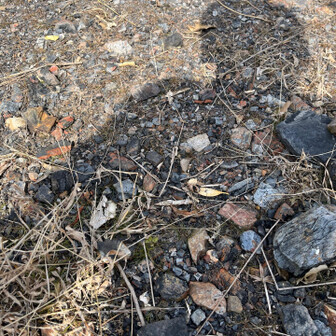 飯塚市 いろいろな土地から集められたボタ。