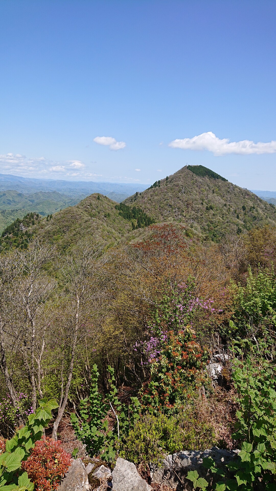 丹波篠山市、多紀連山へ・・・ / としやまさんの御嶽（三嶽）・小金ヶ嶽・西ヶ嶽の活動データ YAMAP / ヤマップ