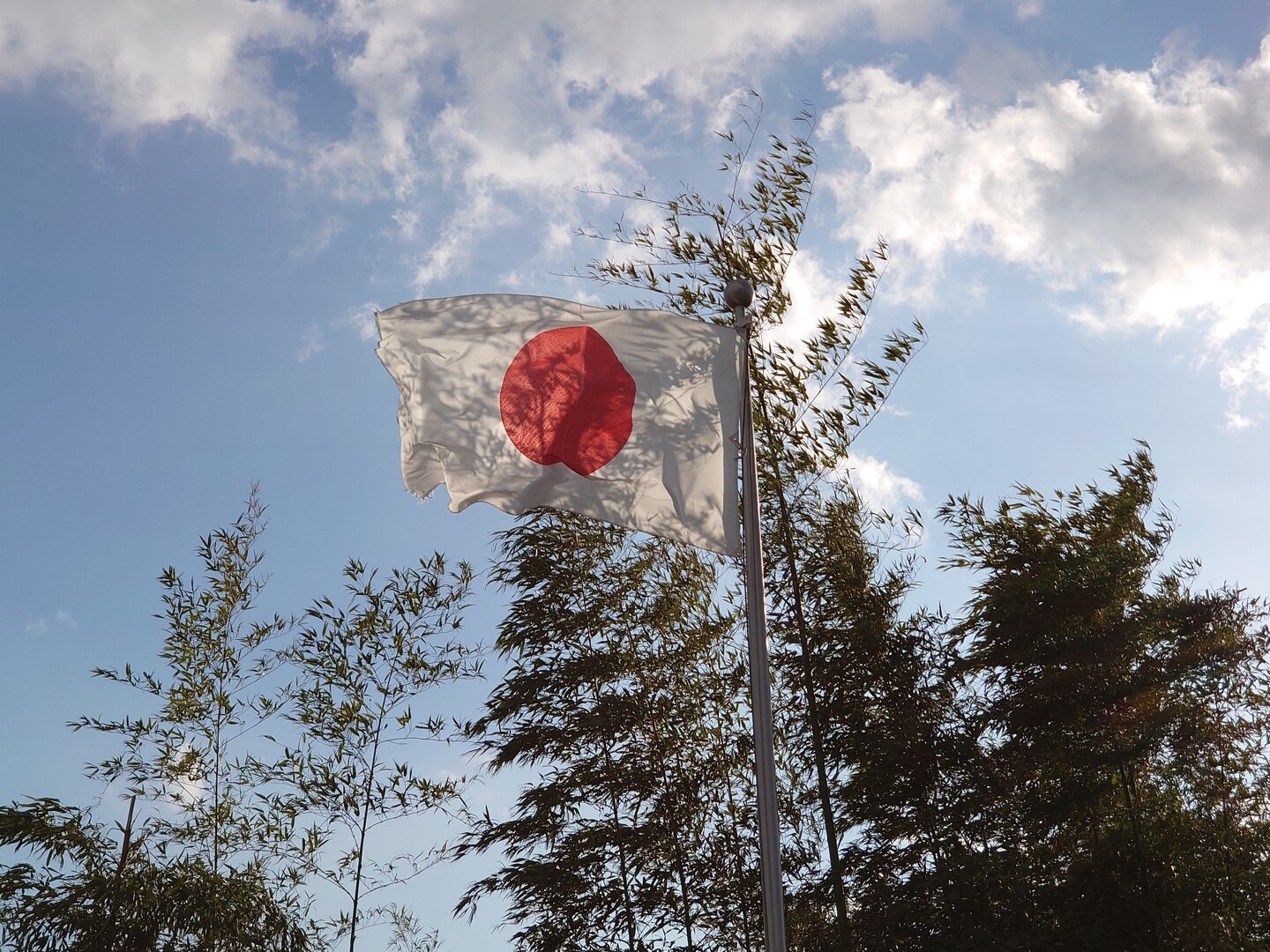 今日は『明治節（明治天皇生誕日）』自宅の... / タカ坊さんのモーメント YAMAP / ヤマップ