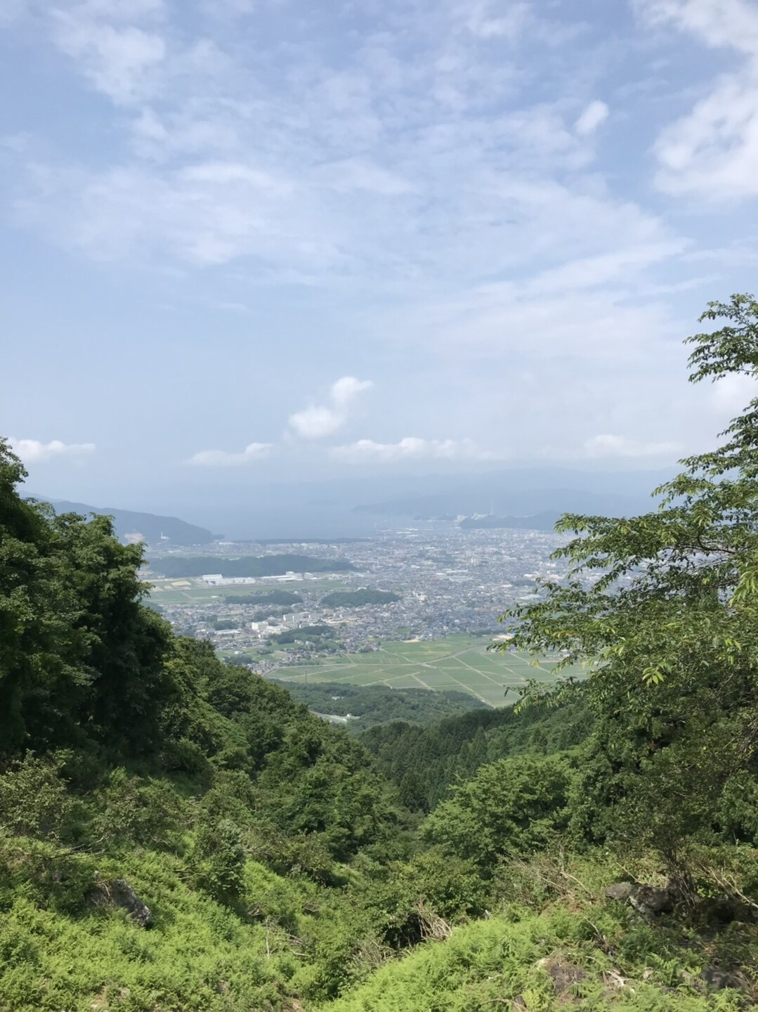 野坂岳20190622 / サダジさんの野坂岳の活動日記 YAMAP / ヤマップ