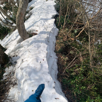 尖山 このへんの細い尾根は、気温上昇で踏み抜き&崩落あるから、素直に雪のないとこ歩くんが正解かも👌