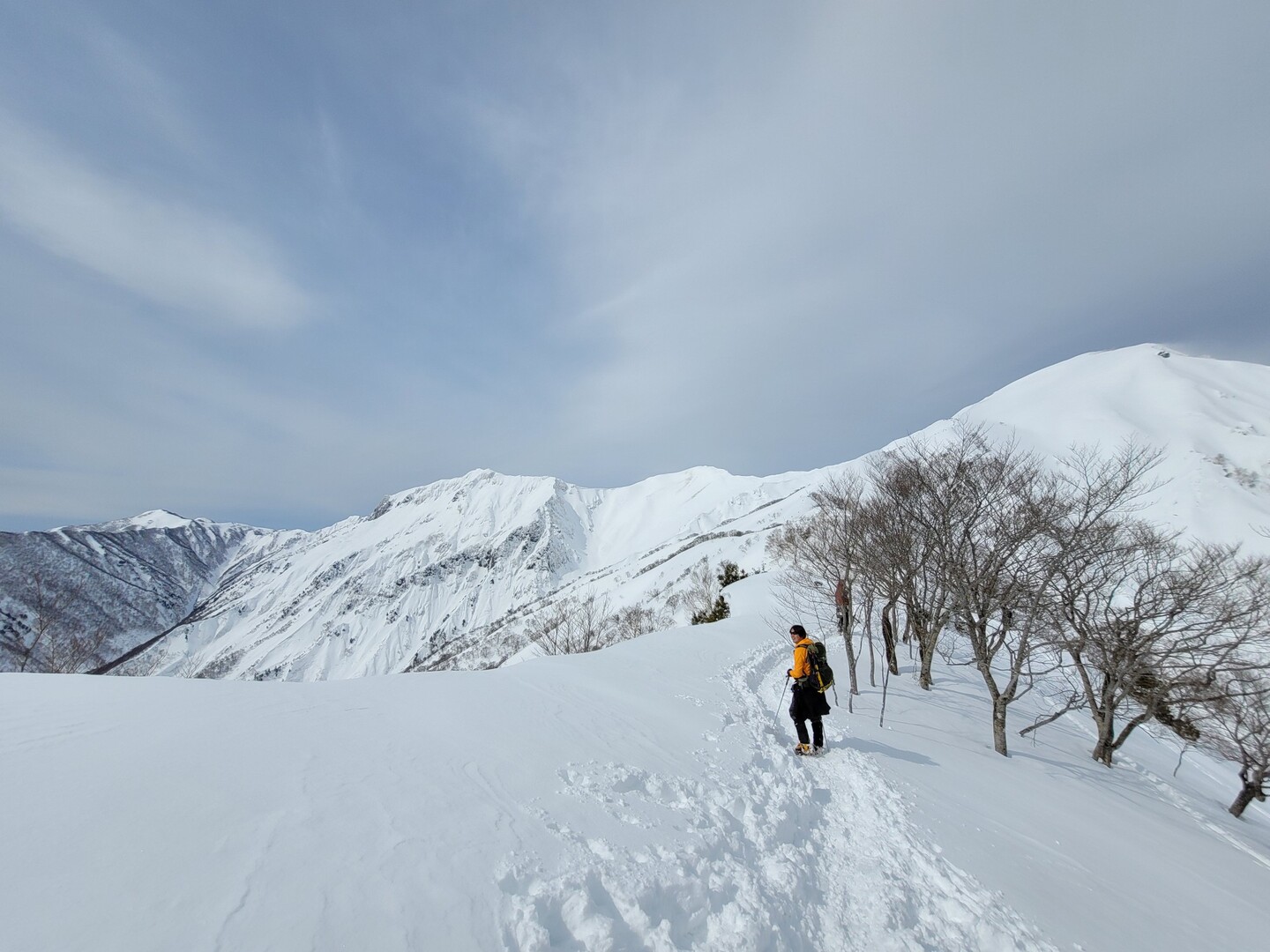 天神尾根 雪道散歩 Naokkyさんの谷川岳 七ツ小屋山 大源太山の活動日記 Yamap ヤマップ