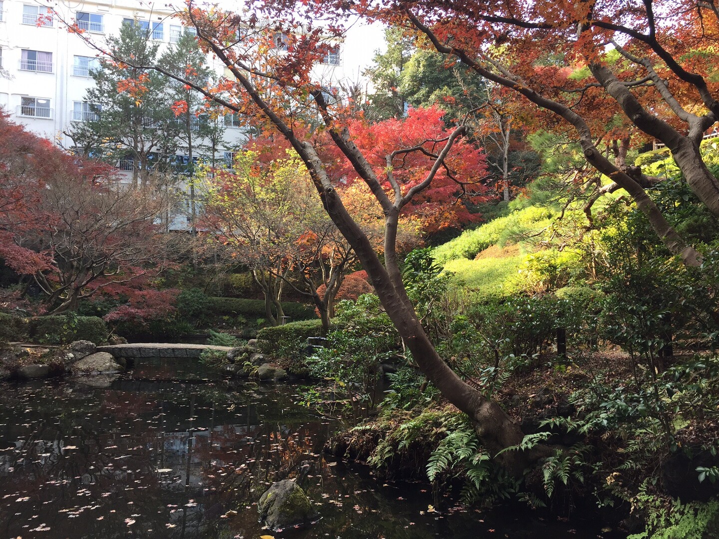 城南五山(花房山、池田山、島津山、八ツ山、御殿山)と品川富士を巡りました。(18,951歩) / たびごころこへいさんの東京都23区 中央