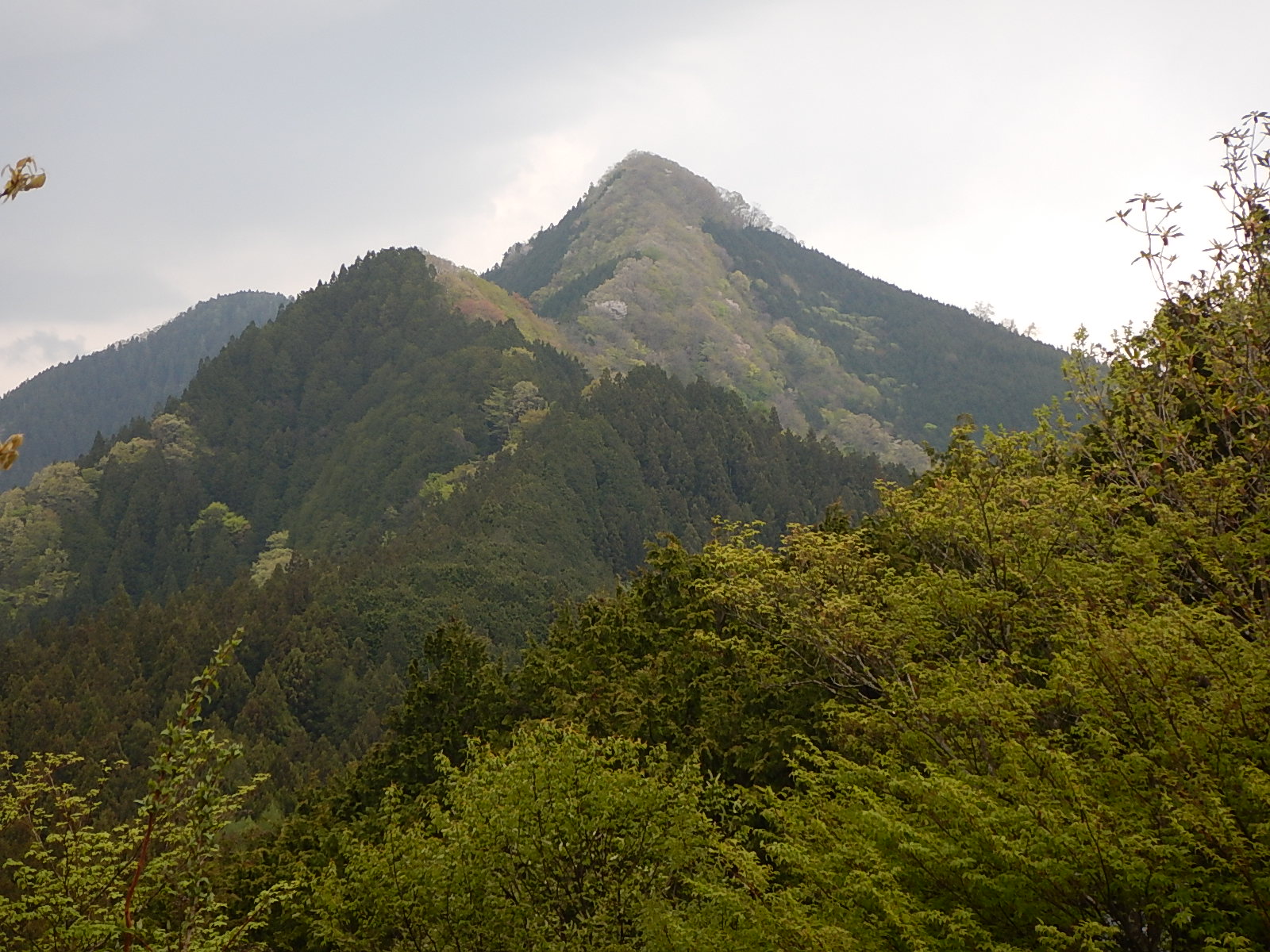 秩父御岳山 関東百名山 猪狩山 埼玉百名山 Masa Aさんの秩父御岳山 鞍掛山の活動日記 Yamap ヤマップ