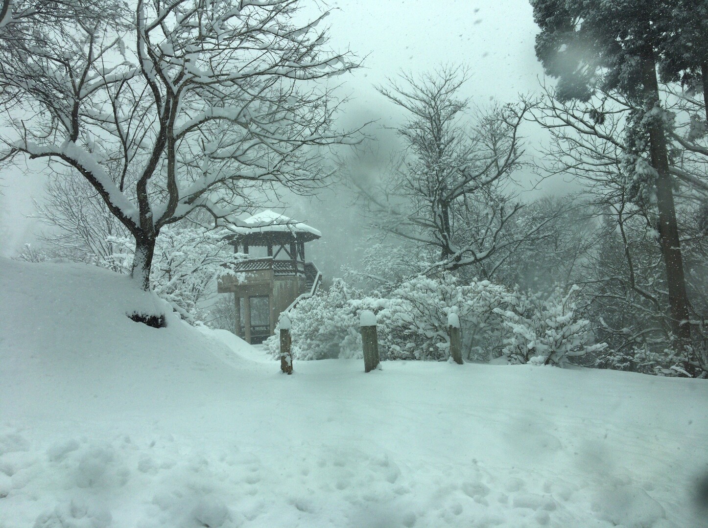 こんな時期に まさかの雪の七味温泉 エル丸さんの焼額山の活動日記 Yamap ヤマップ