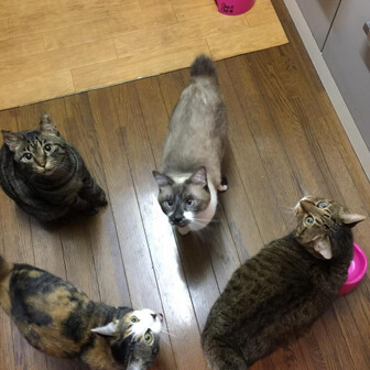 そらまめみよし