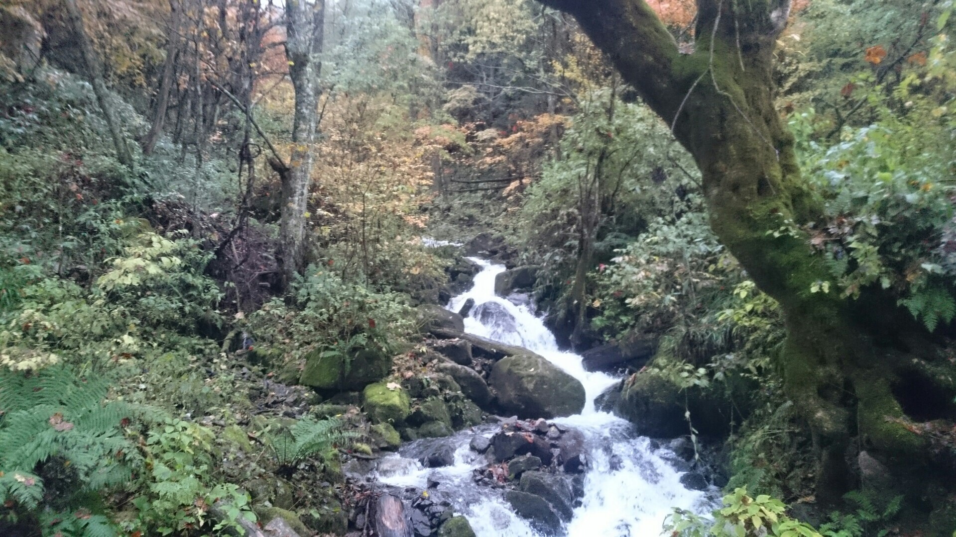 蝶ヶ岳 常念岳日帰り縦走 の巻 常念岳 大天井岳 燕岳の写真1枚目 昨日の大雨で水嵩多い Yamap ヤマップ