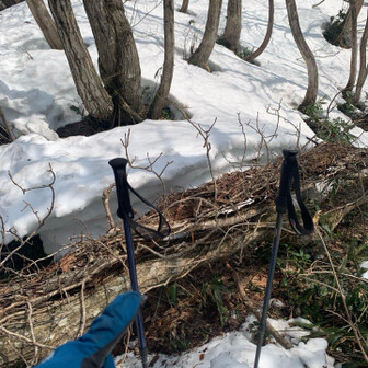 尖山 写真じゃ上手く撮れんけど、こんな感じで所々で倒木を乗り越えてかんなん🪵
こういう時、チェーンスパイクの方が便利か🤔