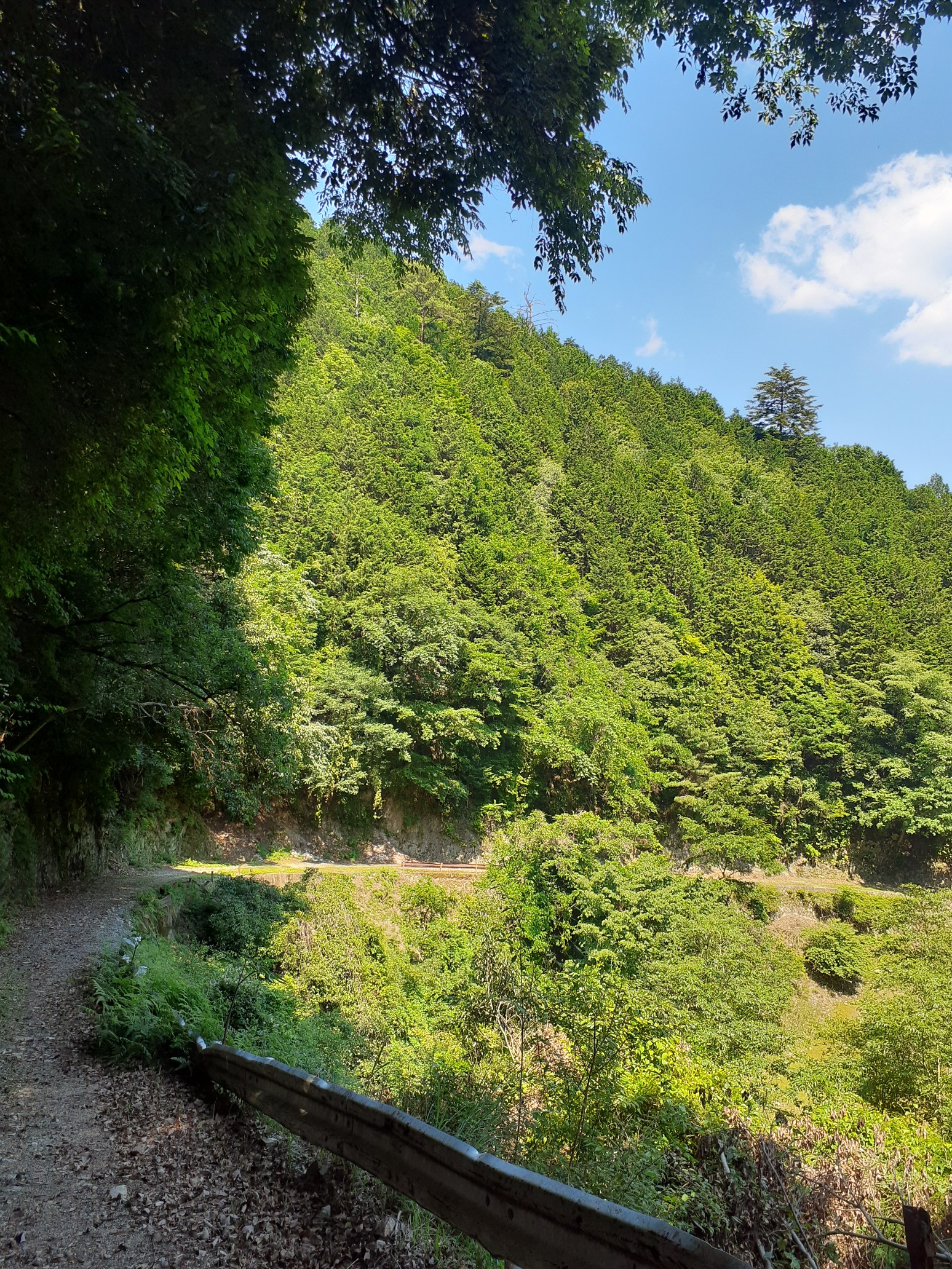 壺笠山 神輿山 ダンゴさんの比叡山 横高山 梶山の活動データ Yamap ヤマップ