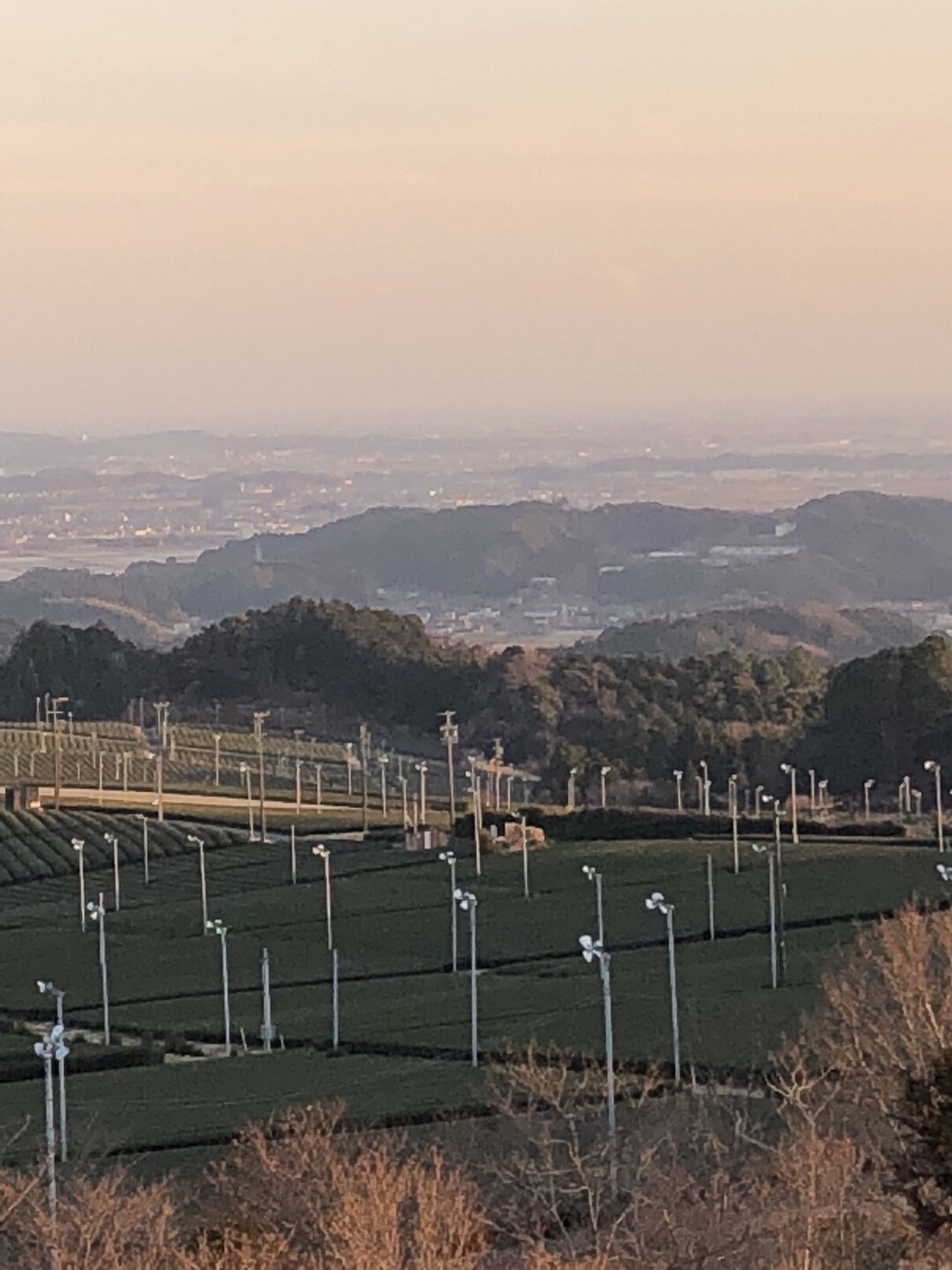 獅子ヶ鼻 天狗岳 蟻の戸渡り ぐるっと周回コース おっさんんさんの獅子ヶ鼻公園の活動データ Yamap ヤマップ