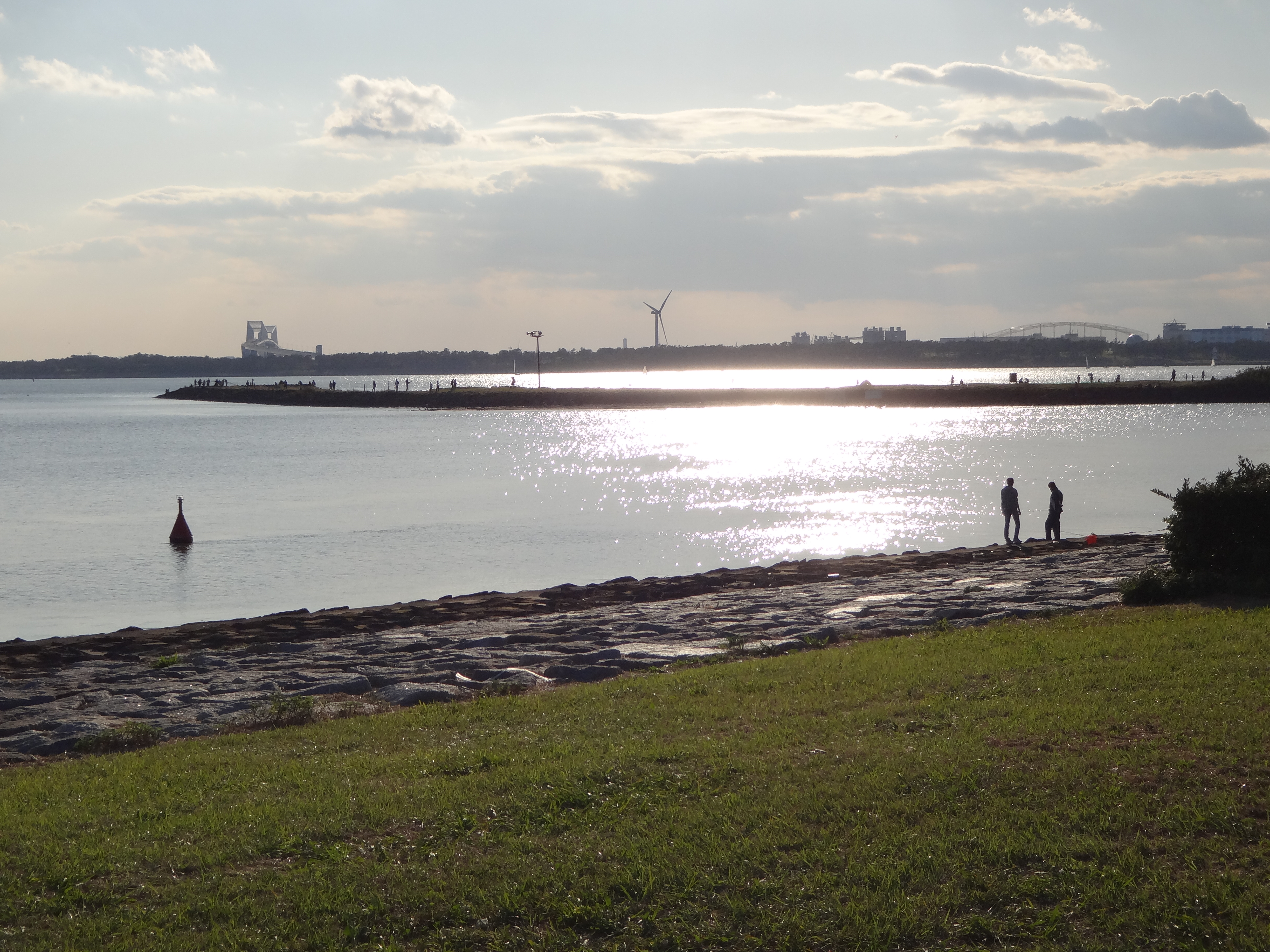 葛西臨海公園をウォーキング 19 11 04 M蔵さんの東京都23区 東エリアの活動データ Yamap ヤマップ