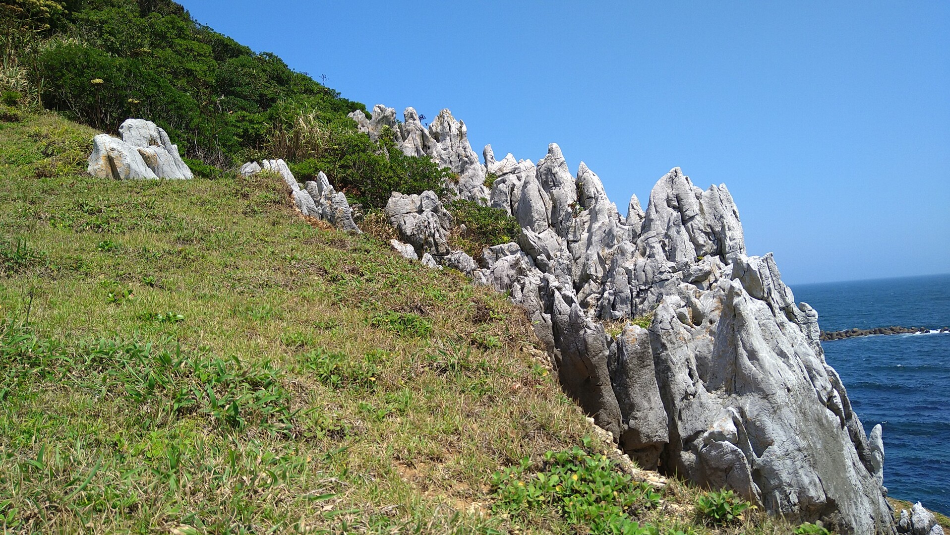 神島2022.6.25 / RAOさんのウォーキングの活動データ YAMAP / ヤマップ
