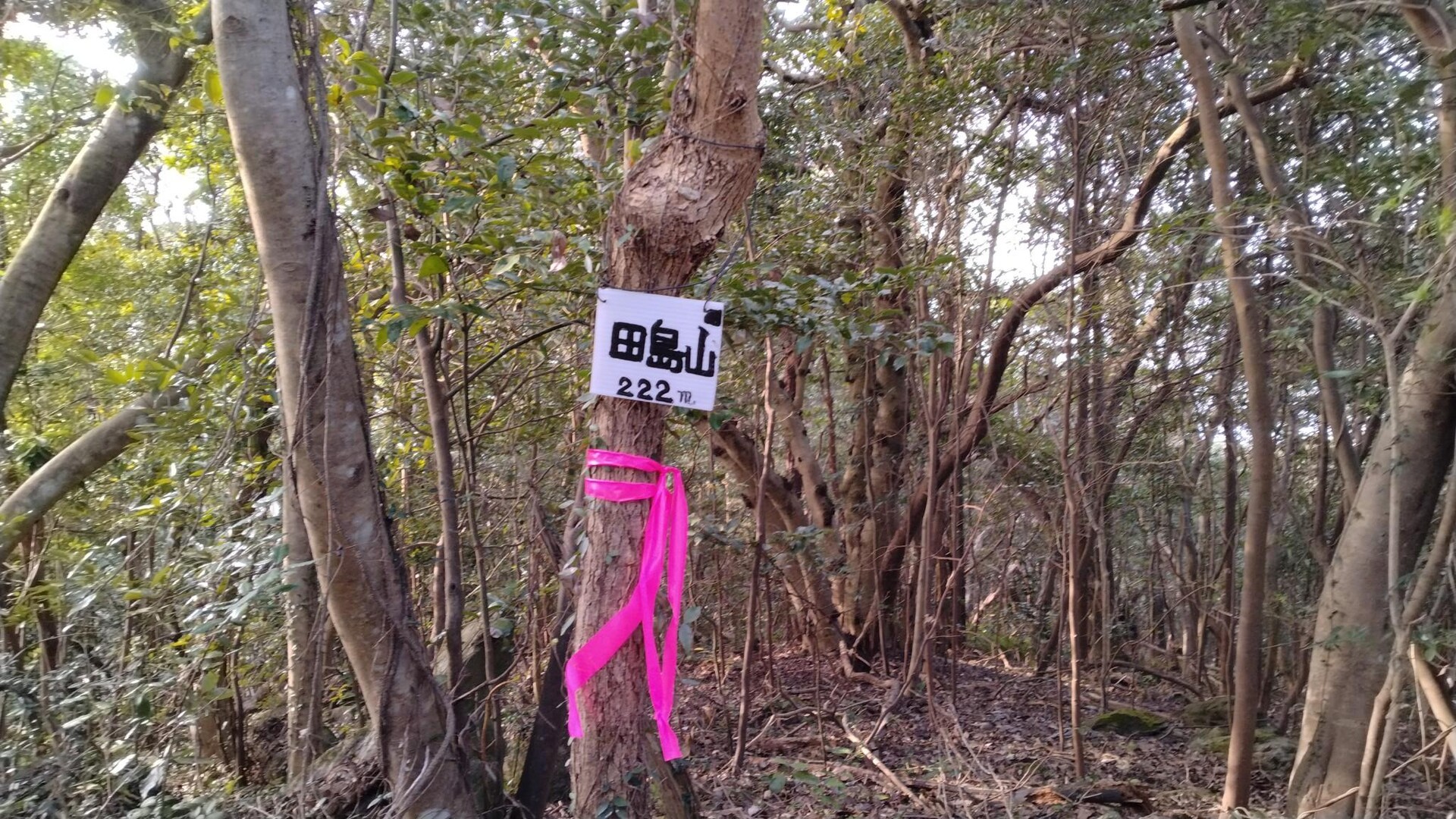 防府市…田島山 / KODAさんの田島山の活動データ YAMAP / ヤマップ