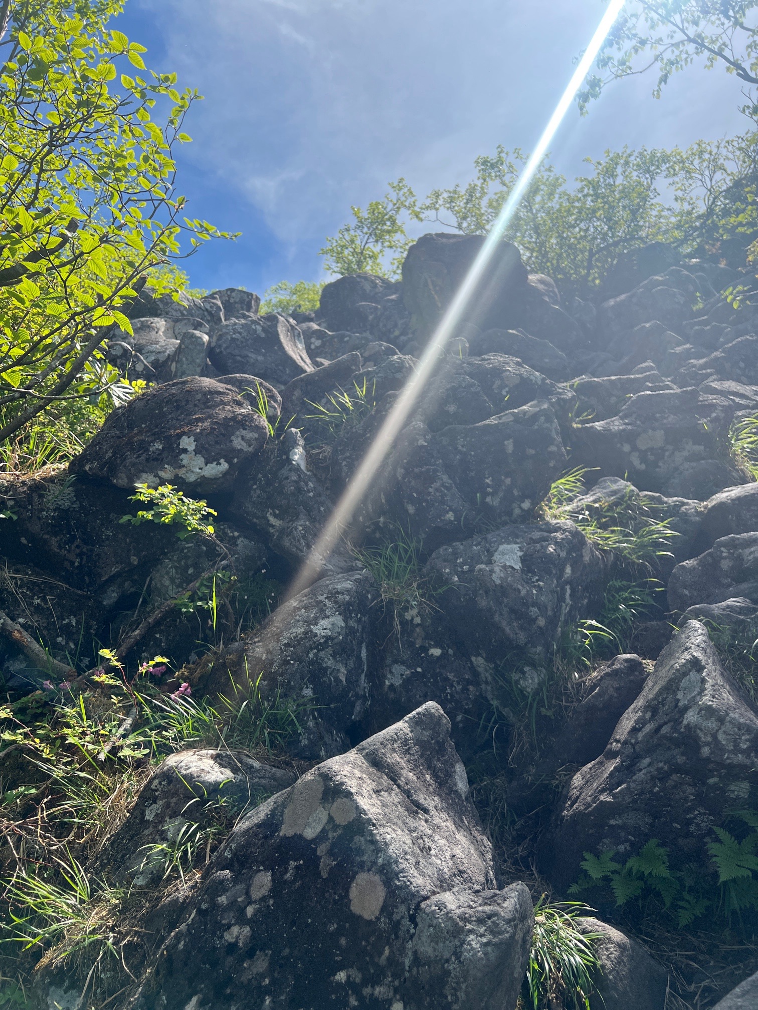 登るの楽しい^_^