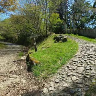 さて、護摩壇山に登り始めますが、この石畳の道を行くようです。
