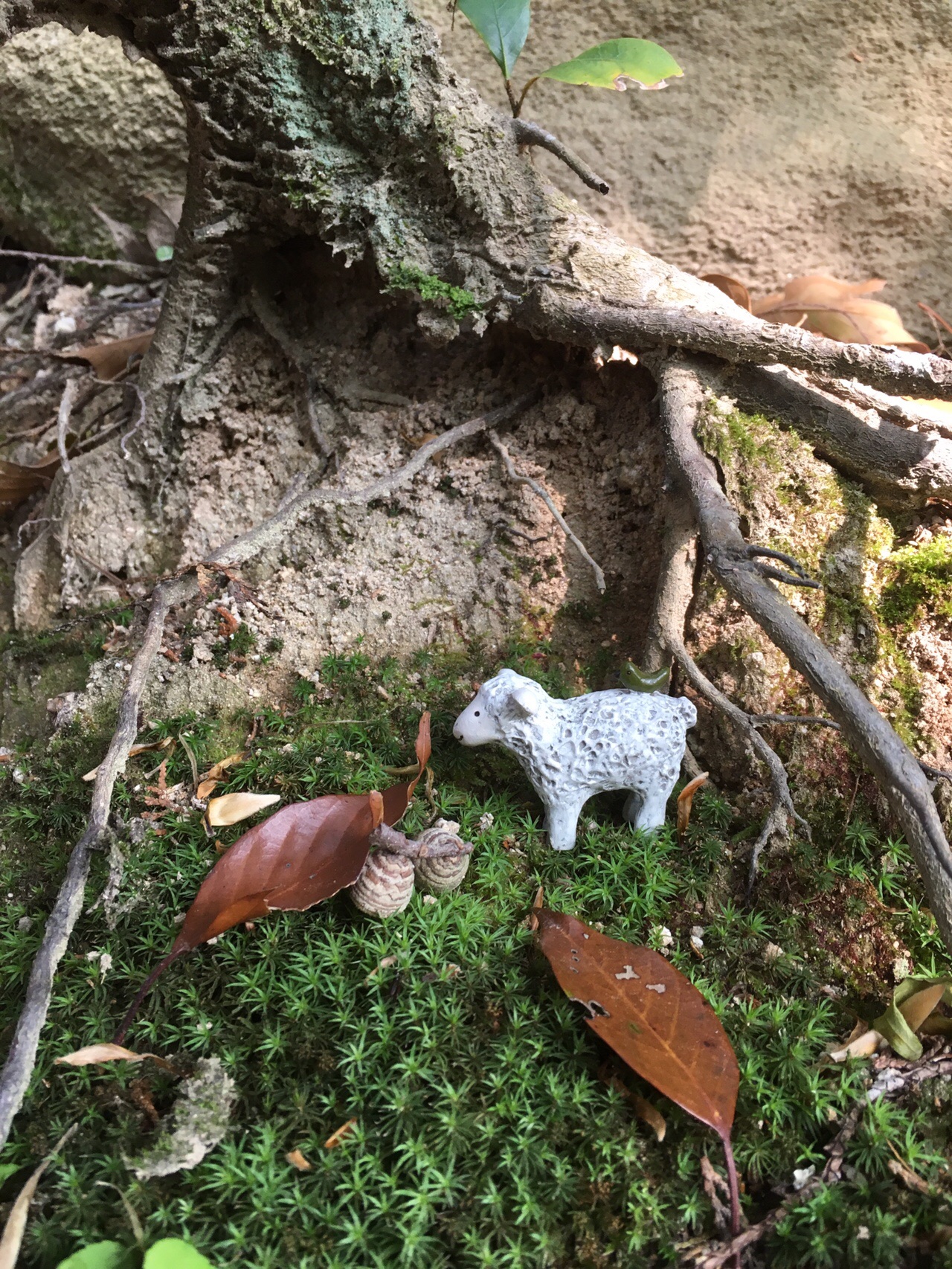 井原山 三瀬峠から 身体慣らしのはずがー ムンマ15さんの雷山 井原山の活動データ Yamap ヤマップ