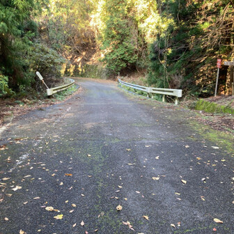 芋ケ峠。写真では左から右へ行きます。右への入り口に芋ケ峠古道と書いてあった。