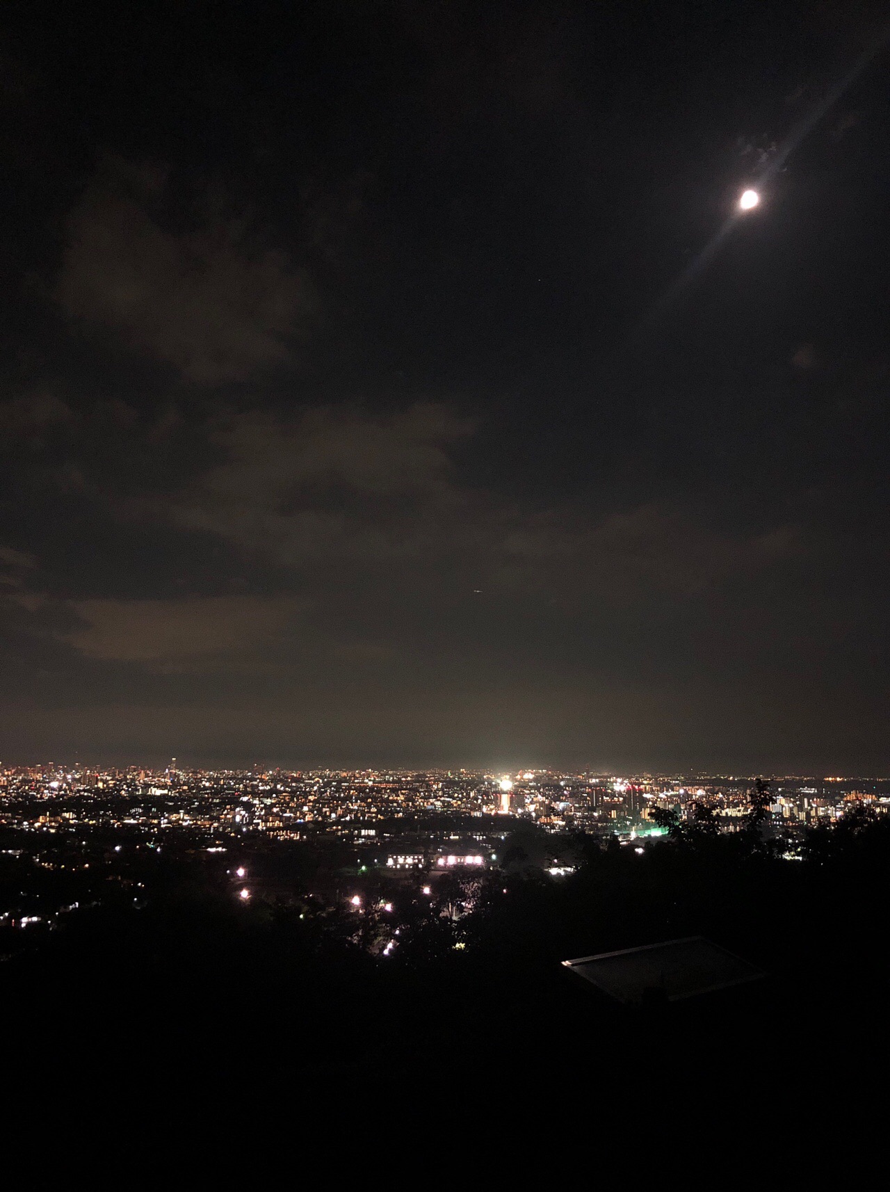 夜の甲山森林公園は虫捕り親子多いね Kajitteさんの六甲山 長峰山 摩耶山の活動日記 Yamap ヤマップ