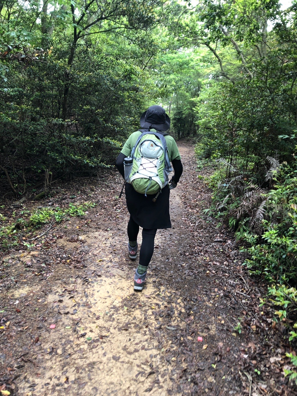 城山 五百蔵 廉子さんの熊山 赤磐市 高津山 尺八山の活動データ Yamap ヤマップ