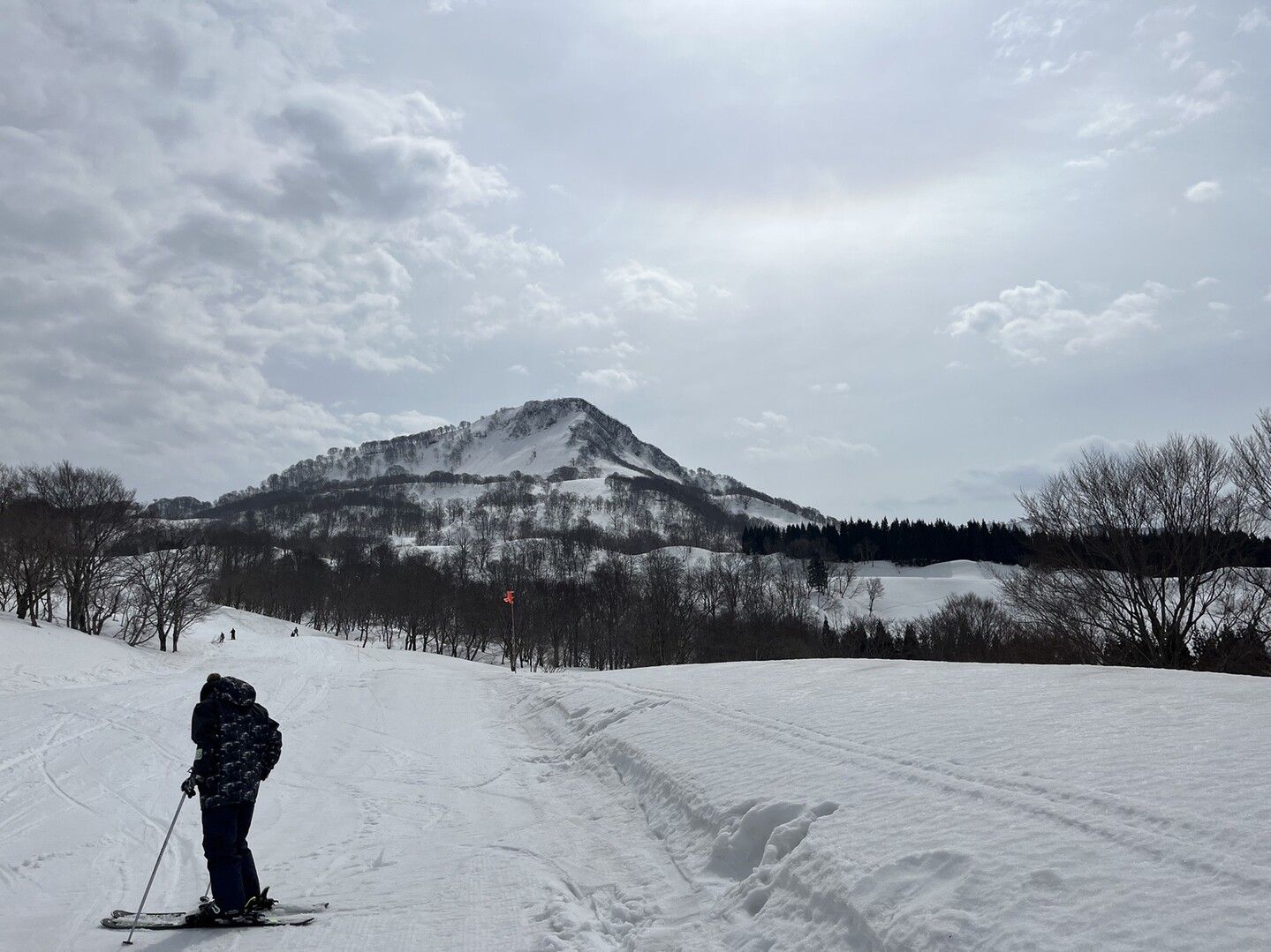 今日は新潟県上越市安塚区にあるキューピッ... / naosataさんのモーメント YAMAP / ヤマップ