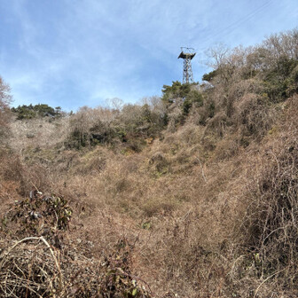 六甲山・長峰山・摩耶山 少し視界が開けるが、ここからの薮が酷い