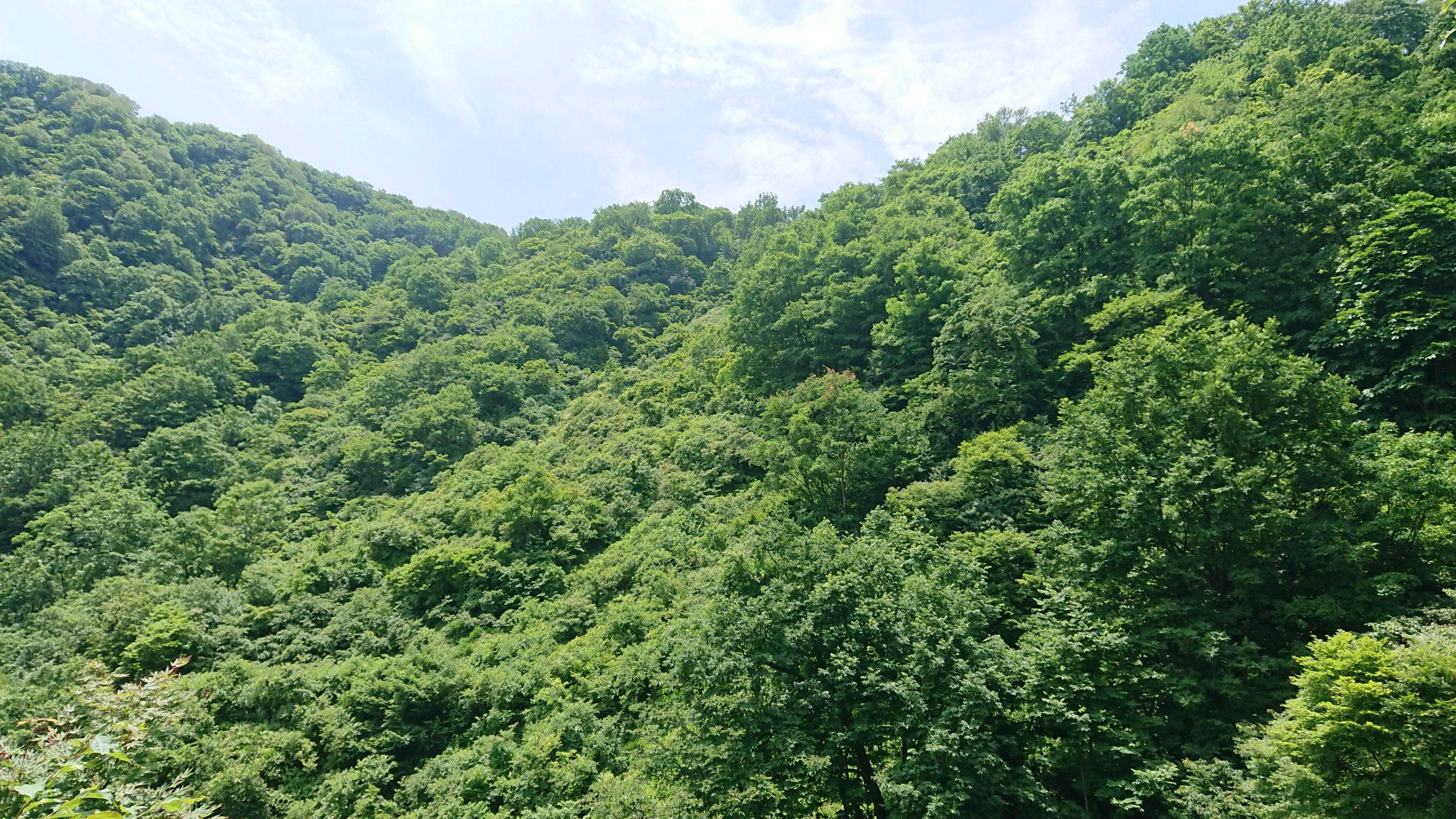 木六山・銀次郎山 山の神手前
かなり草に覆われました