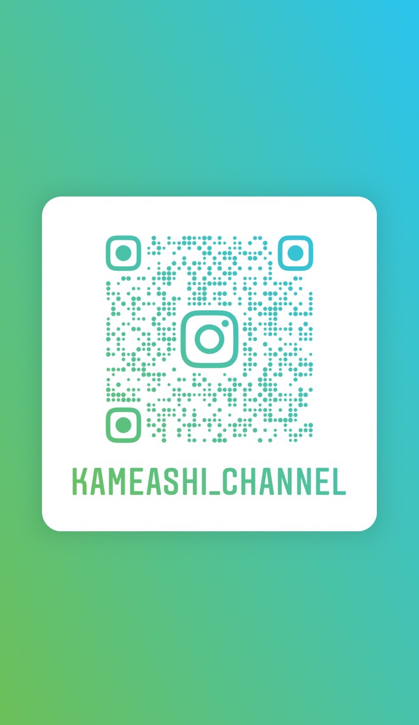 お知らせ Twitter開設しました 亀2号 亀足チャンネルさんのモーメント Yamap ヤマップ
