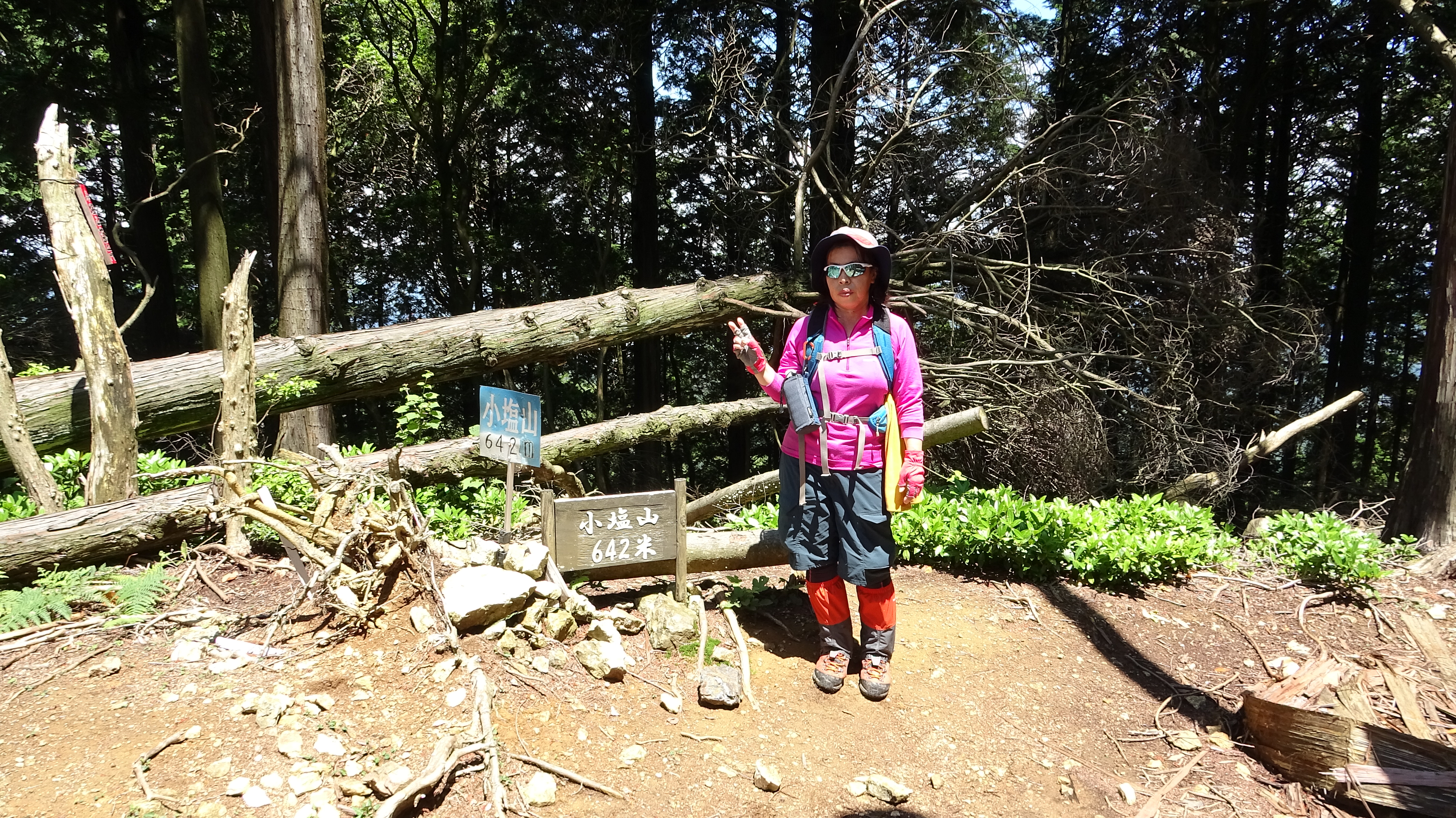 小塩山 大原野森林公園から周回 プチ登山 Cat Climberさんのポンポン山 釈迦岳 小塩山 若山の活動データ Yamap ヤマップ