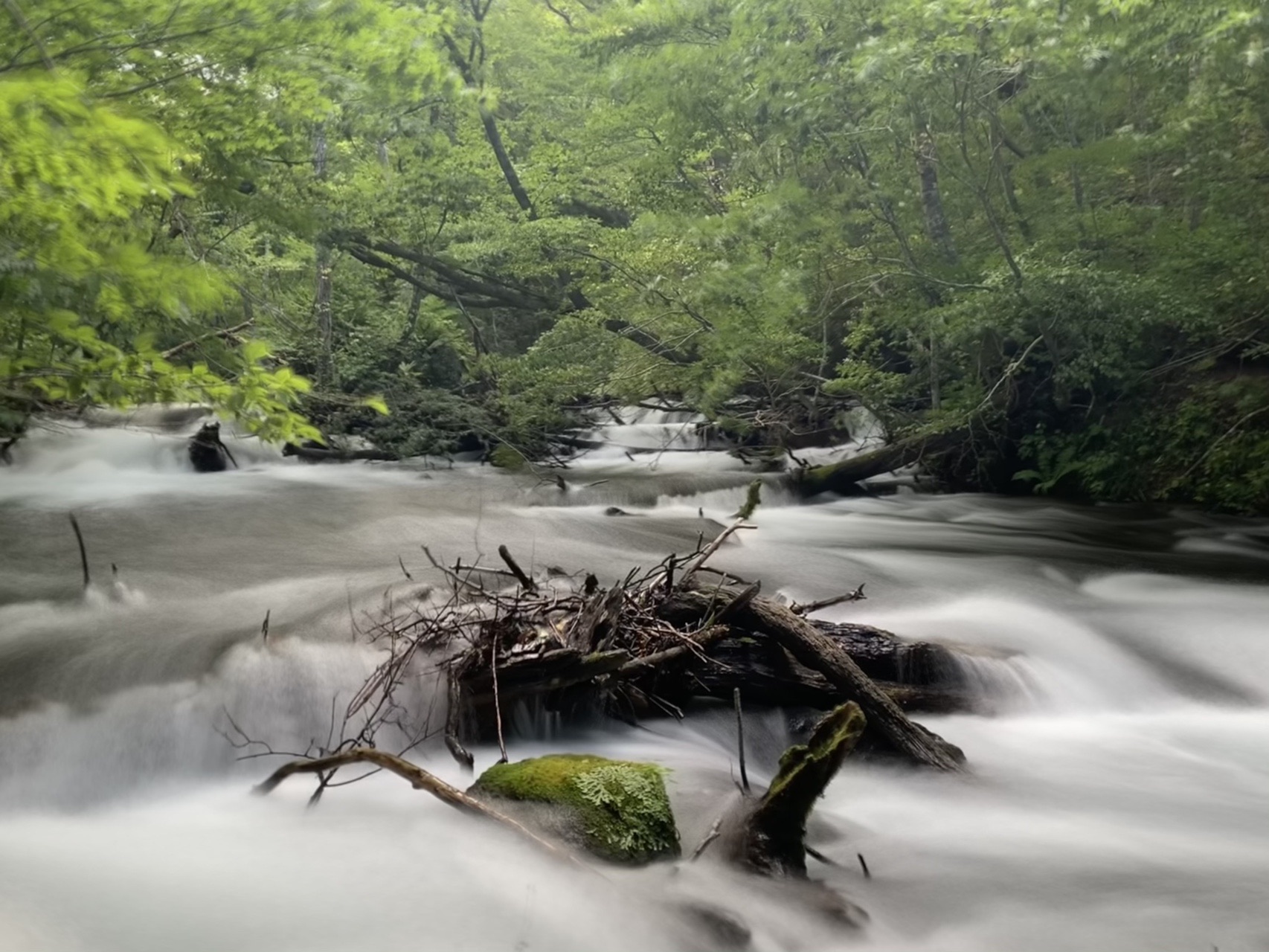 奥入瀬散策 石ケ戸から子ノ口まで けにちさんの十和田湖の活動データ Yamap ヤマップ
