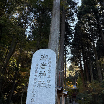 ここから、とにかく木が多くパワーを感じる