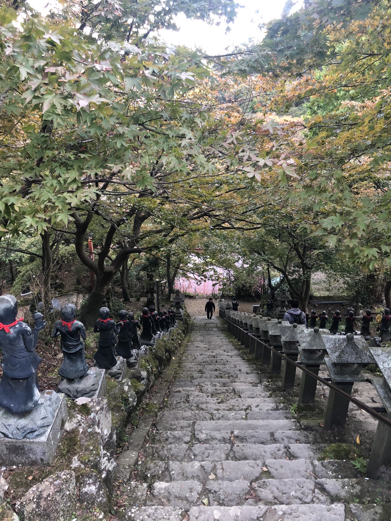 大山 神奈川県 19 11 10 しんさんの大山 神奈川県 の活動データ Yamap ヤマップ