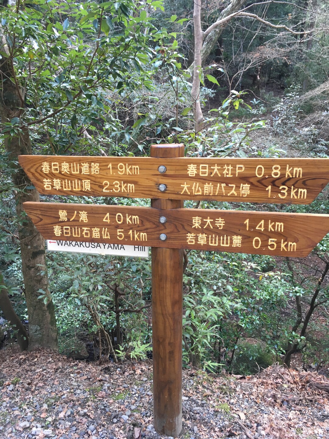 若草山 三笠山 奈良市 01 05 くまさんの奈良市 東エリア の活動日記 Yamap ヤマップ