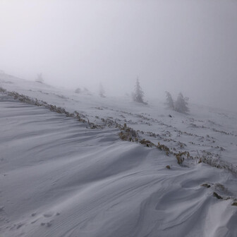 霧ヶ峰・車山・大笹峰 でもこれはこれで幻想的